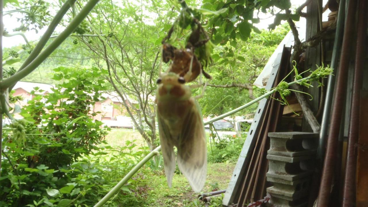 ホテル温泉ペンション くまさんち 雫石町 エクステリア 写真